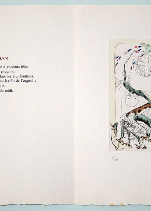 Image de l'estampe Leviathan