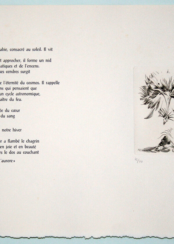 Image de l'estampe Phénix