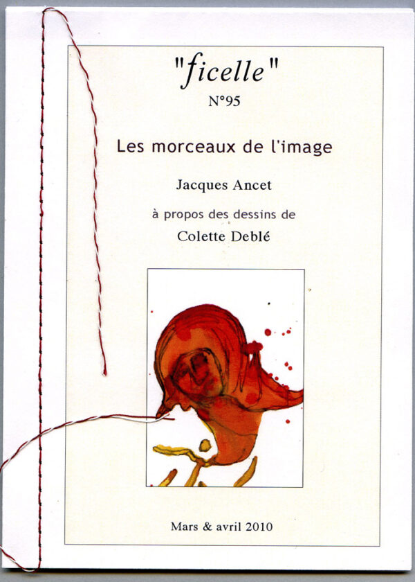 Couverture Les morceaux de l'image ficelle n°95