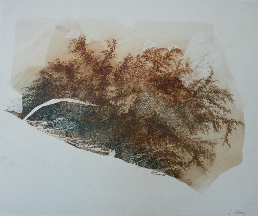 Gravure La Haie